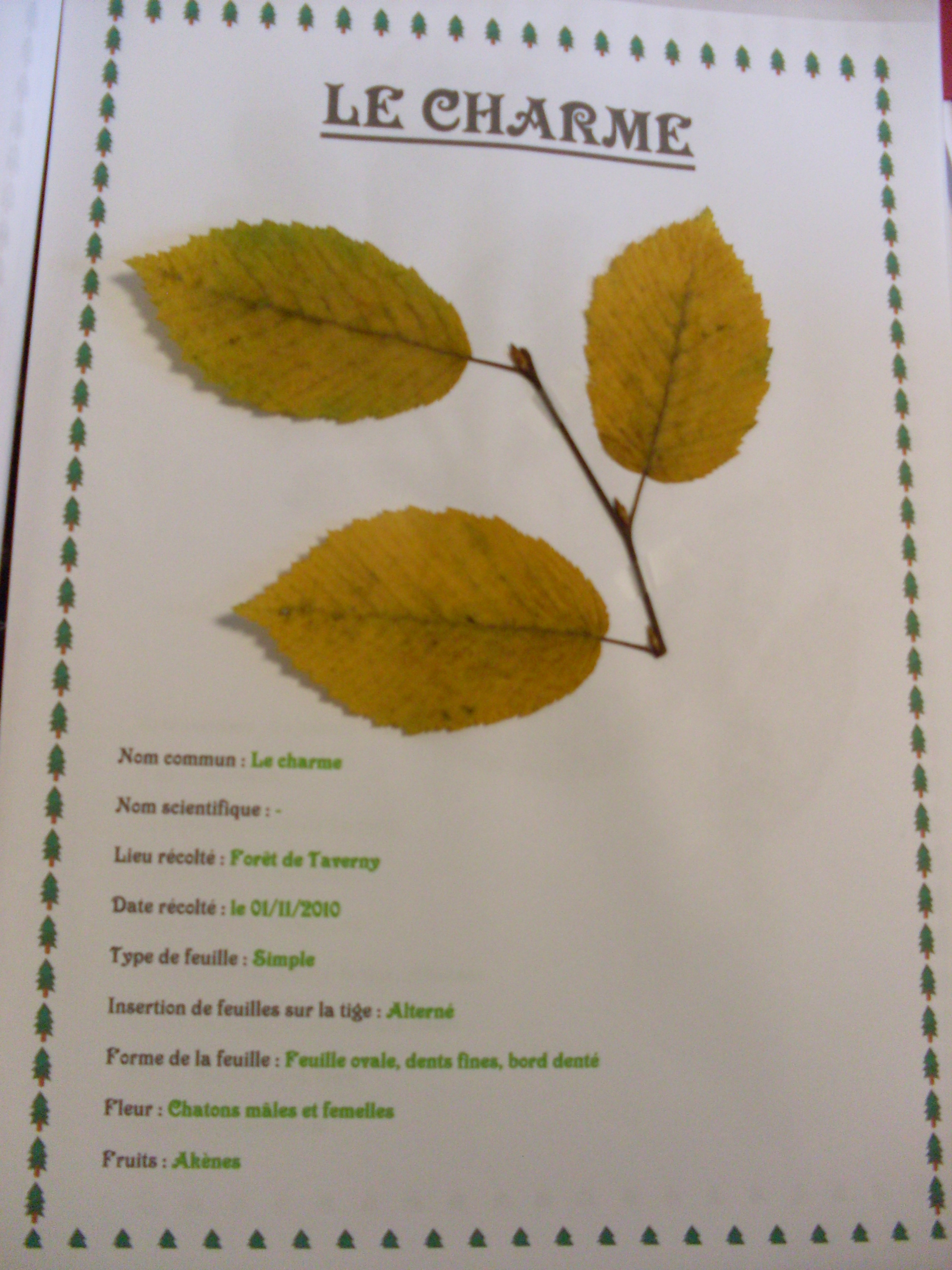 Page De Garde D Un Herbier 6ème